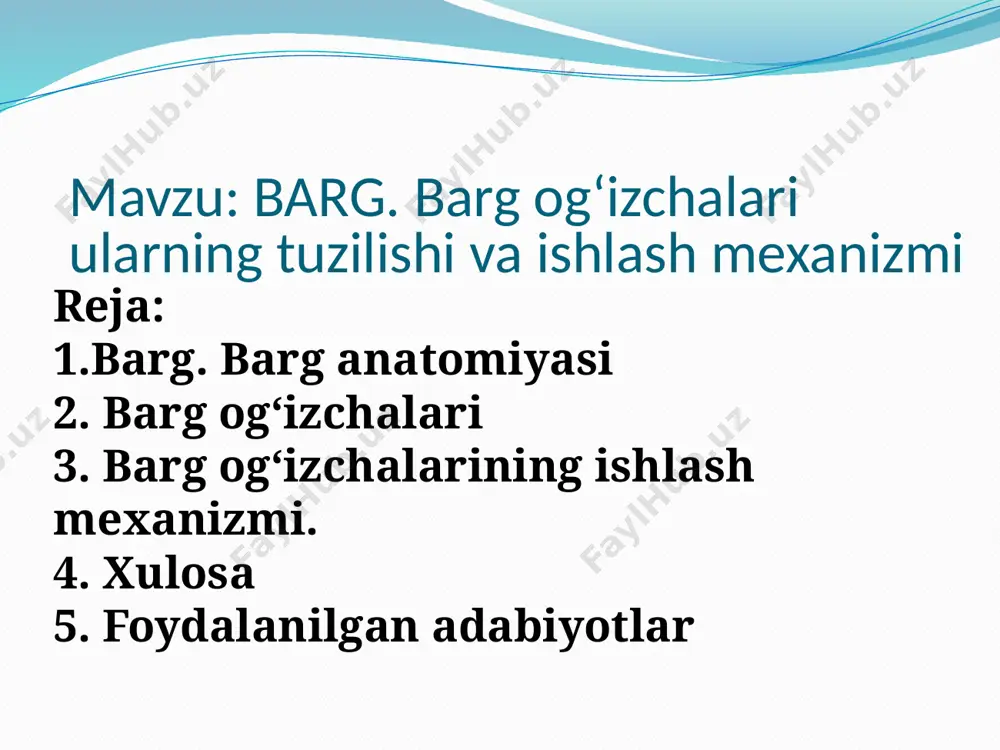 tashkil topgan bo‘lib, ular orqali suv, mineral moddalar va organik moddalarning harakati ta’minlanadi (kambiy, ksilema, floema). 1-ustki va ostki po’sti (epiderma) 2-barg eti 3-o’tkazuvchi nay tola boylamlari 4-og’izcha 5-tukcha 1-rasm 6 barg plastinkasi — bu o‘simlik bargining keng, yassilangan qismi bo‘lib, fotosintez, nafas olish va transpiratsiya (suv bug‘lanishi) jarayonlarida ishtirok etadi. u barg bandiga birikkan holda joylashgan bo‘ladi. barg plastinkasi odatda yashil rangda bo‘ladi, chunki unda xlorofill moddasi mavjud. shu tufayli u quyosh nurini yutib, o‘simlik uchun oziqa moddalarni ishlab chiqaradi. barg plastinkasi shakli va tuzilishiga qarab ikkita asosiy xilga bo‘linadi: 1. butun (yaxlit) barg plastinkasi – barg yuzasi bo‘linmagan, bir butun shaklda bo‘ladi. masalan: olma, gilos, terak barglari. 2. bo‘lakli (bo‘lingan) barg plastinkasi – barg yuzasi chuqur kesimlar bilan bo‘lingan bo‘ladi. 2- rasm barg ogʻizchalari (stomalar) — bu bargning pastki (ba’zida ikkala) epidermisida joylashgan, ikkita qorinchali hujayra orasidagi tirqishli tuzilmalardir. ular o‘simlik uchun muhim bo‘lgan gaz almashinuvi va suv …