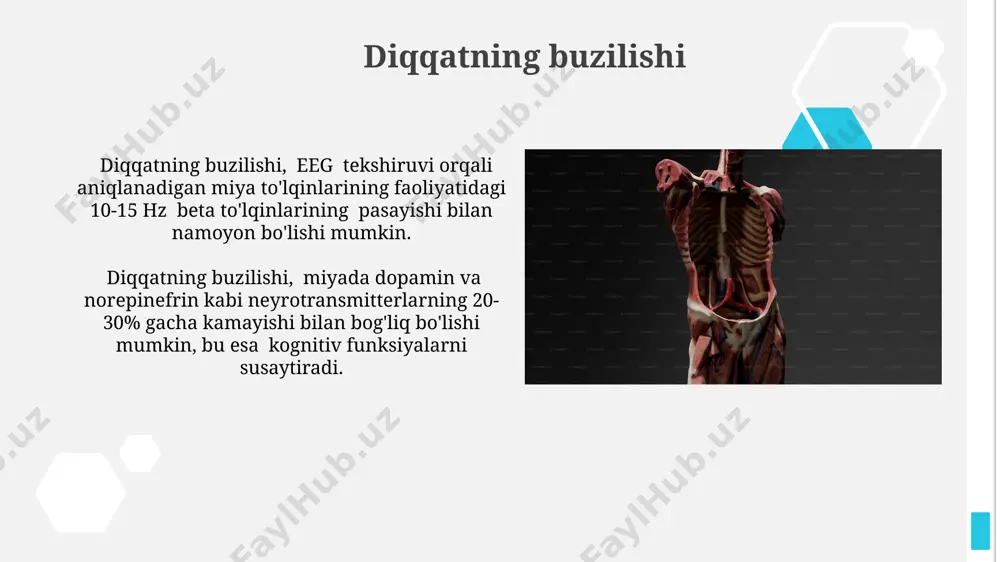 fiziologiyada diqqat - Page 5