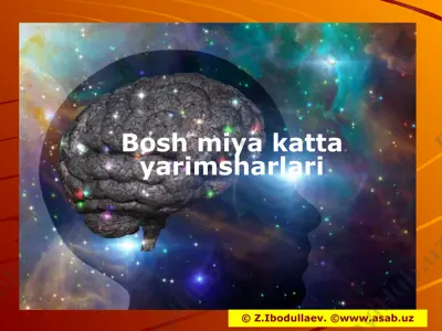 bosh miya katta yarimsharlari — PPTX