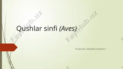 qushlar sinfi (aves) — PPTX