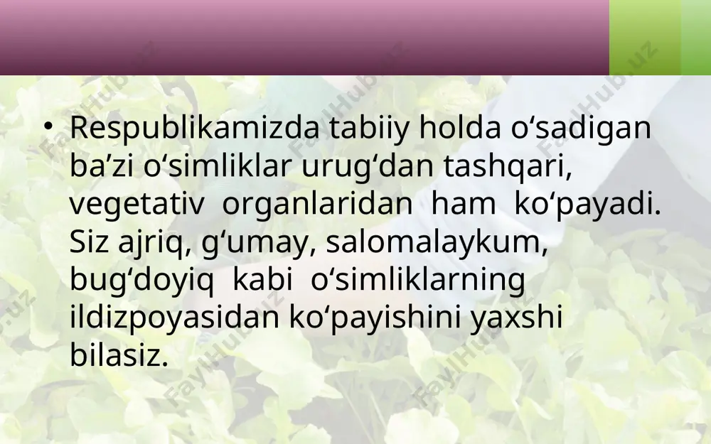 ida o‘sadigan qaysi o‘simliklar vegetativ yo‘l bilan ko‘payishini kuzating.