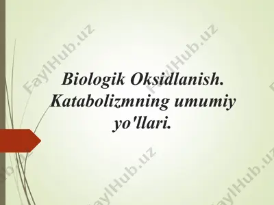 biologik oksidlanish — PPT
