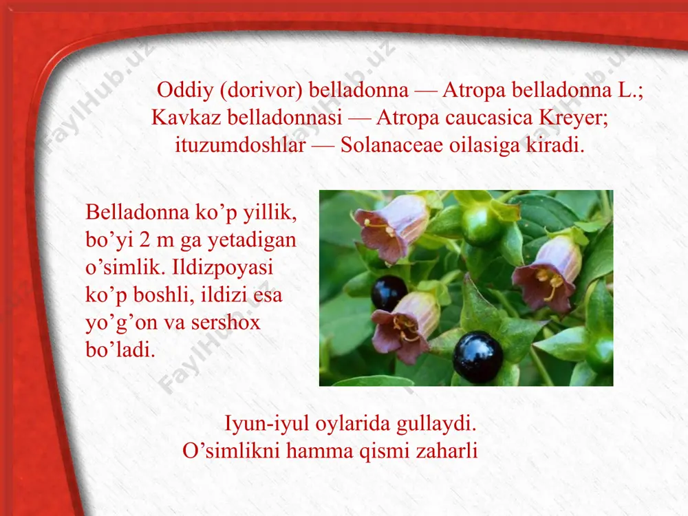 ka va ampulada eritma holida chiqariladi), mevadan damlama, ekstrakt, karotolin, na’matak moyi va sharbat (ho‘l mevadan) hamda tabletkalar (kukunidan) tayyorlanadi. na’matakni o’stirish texnologiyasi ekilgan urug’larni ustiga 1 sm qalinlikda mayda chiritilgan go’ng yoki yog’och qipig’i ham sepilsa namlikni saqlab turishga yordam beradi. shu bilan birga nihollarni sovuq urishidan asraydi. bahorning kelishiga qarab, dastlabki nihollar mart oyining birinchi dekadasida o’sib chiqadi. mart oyida o’simlikni begona o’tlardan tozalab qator oralariga ishlov beriladi. na’matak turlari o’rmonlarda, ariq bo’ylarida, butalar orasida, tog’larning quruq toshloq yon bag’irlarida va boshqa yerlarda o’sadi. foydalanilgan adabiyotlar ro‘yxati 1. agroximiya (pod red. b. a. yagodina). moskva, 1982. 2.voprosi agrotexniki vozdelivaniya lekarstvennix kultur. chast 1, moskva, 1978. 3. spravochnik po lekarstvennim kulturam. voronej, 1963. 4. xolmatov x. x., a. i. qosimov ruscha-latincha-o’zbekcha dorivor o‘simliklar lug’ati, toshkent, 1992. 5. xolmatov x. x., ahmedov o‘. a. “farmakognoziya”, toshkent, 2007 y. 6. musayev b. s. “o‘g‘it qo‘llash tizimi”, toshkent, 1998. image10.jpeg image11.jpeg image12.jpeg …