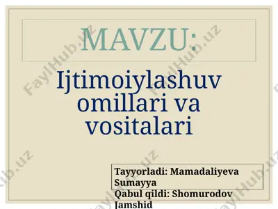 ijtimoiylashuv omillari va vositalari — PPTX