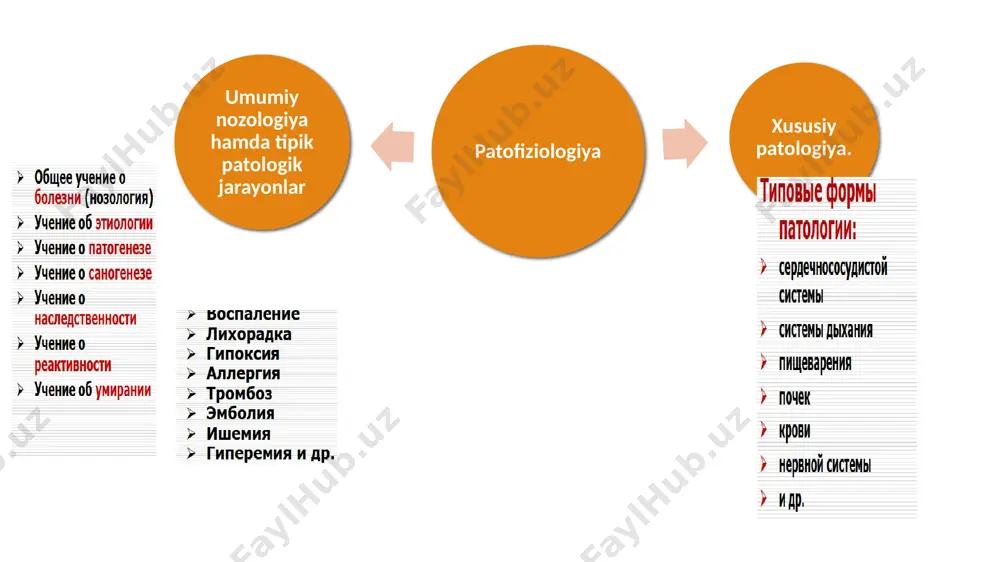 hinuvi lipid almashinuvi oqsil almashinuvi suv-tuz almashinuvi kislota-ishqor muvozanati circulus vitiosus mitral yetishmovchilik yurak yetishmovchiligi gipoksiya mns qo’zg’alishi gipervolemiya adg kopayishi patogenezning eng muhim zvenosi bartaraf etilishi natijasida qolgan barcha belgilarning yo’qolishi kuzatiladigan zveno.. patogenez spesifik (diabet) nospetsifik (holsizlik) sanogenez – sog’ayishga qaratilgan himoya-adaptiv reaksiyalar yig’indisi. 3 guruh mexanizmi aytilgan. 1. tezkor(avariyniy, “chidamsiz”) 2. nisbatan chidamli 3. chidamli sanogenez mexanizmlari yetishmasa kasallik xronik shaklga o’tishi va o’limga olib kelishi ham mumkin. image2.jpeg image3.png image4.png image5.png image6.jpeg image7.png image8.png image9.png image10.png image11.png image12.png image13.png image14.png image15.png 103340609 /docprops/thumbnail.jpeg