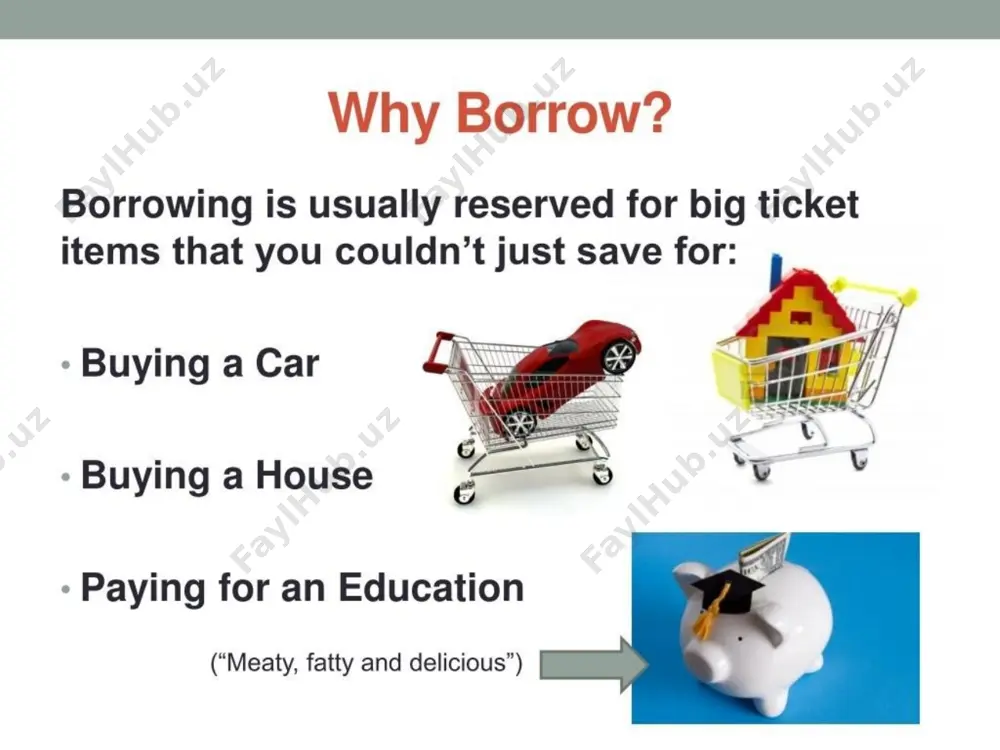 types of borrowing - Page 2