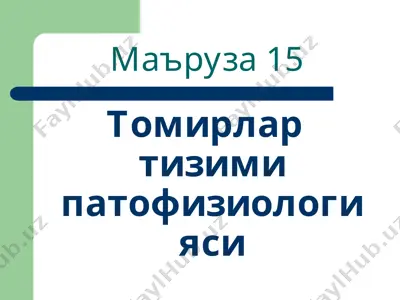 tomirlar tizimi patofiziologiyasi — PPT