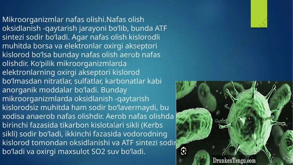 mikroorganizmlar fiziologiyasi - Page 5