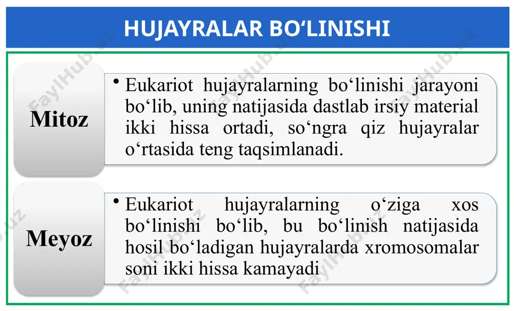 lanadi. bo‘linish urchug‘i parchalanadi. shundan so‘ng sitokinez boshlanadi. mitozning biologik ahamiyati 1 mitoz natijasida ikkita hujayra hosil bo‘ladi, ona hujayrada nechta xromosoma bo‘lsa, ularda ham shuncha xromosoma bo‘ladi. 2 mitoz irsiy axborotni ona hujayradan qiz hujayralarga o‘tkazilishini ta’minlaydi 3 mitoz natijasida organizmda hujayralar soni ortadi, bu esa o‘sish mexanizmlarining eng asosiylaridan biridir 4 o‘simlik va hayvonlarning ko‘pgina turlari hujayralarning mitoz bo‘linishi yordamida jinssiz yo‘l bilan ko‘payadi 5 mitoz barcha ko‘p hujayrali organizmlarda yo‘qotilgan tana qismlarini u yoki bu darajada regeneratsiyasini ta’minlaydi meyoz meyoz eukariot hujayralarning o‘ziga xos bo‘linishi bo‘lib, bu bo‘linish natijasida hosil bo‘ladigan hujayralarda xromosomalar soni ikki hissa kamayadi. meyoz ham mitoz singari interfazadan boshlanadi. interfazada xromosomalar ikki hissa ortadi. meyoz ikkita ketma-ket bo‘linishdan iborat. birinchi – reduksion (meyoz i) bo‘linishda xromosomalar soni ikki marta kamayadi. ikkinchi ekvatsion (meyoz ii) bo‘linishda gaploid xromosomali hujayralar hosil bo‘ladi. krossingover profaza i da juft xromatidalardan tuzilgan xromosomalar spirallashib, yo‘g‘onlashib kaltalashadi. so‘ngra gomologik …