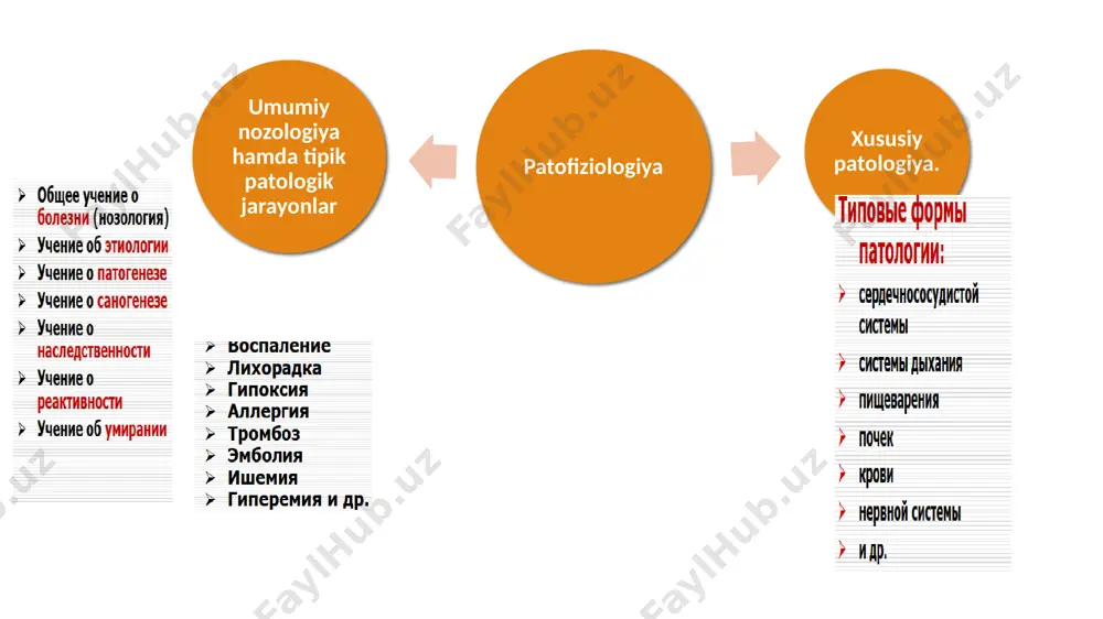 hinuvi lipid almashinuvi oqsil almashinuvi suv-tuz almashinuvi kislota-ishqor muvozanati circulus vitiosus mitral yetishmovchilik yurak yetishmovchiligi gipoksiya mns qo’zg’alishi gipervolemiya adg kopayishi patogenezning eng muhim zvenosi bartaraf etilishi natijasida qolgan barcha belgilarning yo’qolishi kuzatiladigan zveno.. patogenez spesifik (diabet) nospetsifik (holsizlik) sanogenez – sog’ayishga qaratilgan himoya-adaptiv reaksiyalar yig’indisi. 3 guruh mexanizmi aytilgan. 1. tezkor(avariyniy, “chidamsiz”) 2. nisbatan chidamli 3. chidamli sanogenez mexanizmlari yetishmasa kasallik xronik shaklga o’tishi va o’limga olib kelishi ham mumkin. image2.jpeg image3.png image4.png image5.png image6.jpeg image7.png image8.png image9.png image10.png image11.png image12.png image13.png image14.png image15.png 103340609 /docprops/thumbnail.jpeg