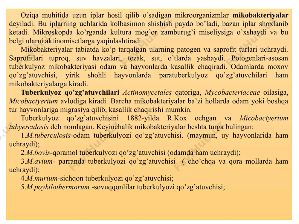 ksasiya qilingan surtmaga filtr qog’ozi ustidan karbolli sil fuksini bo’yog’i quyiladi. bug’ hosil bo’lguncha qizdiriladi, 2- 3 minutdan keyin surtma sovugach qog’oz olib tashlanib suv bilan yuviladi; 2.5 -10 % li sulfat kislotasi yoki 3 % xlorid kislotasi bilan 3-5 sekund davomida rangsizlantiriladi. 3.surtma yaxshilab suv bilan yuviladi. 4.96 % li spirt bilan 3-5 sekund qo’shimcha rangsizlantiriladi. 5.yana suv bilan yuviladi. 6. 3-5 minut leffler metilen ko’ki yoki 1:1000 malaxit ko’ki bilan bo’yaladi. 7. preparat suvda yuvilib, havoda quritiladi. mikroskopiya-tuberkulyoz tayoqchalari qizil rangda bo’ladi. qobig’ining gidrofobligi tufayli mikobakteriyalarni gram usulida bo’yash uchun o’zgartirilgan gramm-mux usulidan foydalaniladi. surtmalar karbolli metilviolet bilan bug’ hosil bo’lguncha qizdiriladi. bo’yoqni to’kib tashlab, ustiga lyugol eritmasi quyiladi. keyin uni navbati bilan rangsizlantiriladi- 5% azot kislotasi, 3% li xlorid kislota, aseton va alkogol aralashmasi bilan. nihoyat, safranin yoki suyultirilgan fuksin bilan qo’shimcha bo’yaladi. mikroskopda qizil fonda ko’k mikobakteriyalar ko’rinadi.hozirgi vaqtda immunofluoressent usuli qo’llaniladi. mycobacterium tuberculosisning sil nilsen …