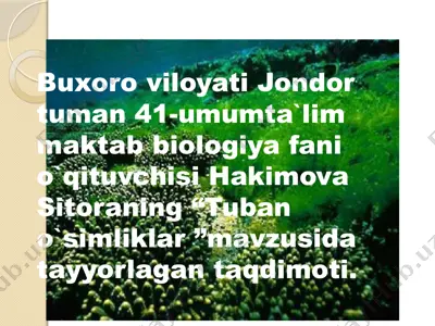 tuban o`simliklar — PPTX