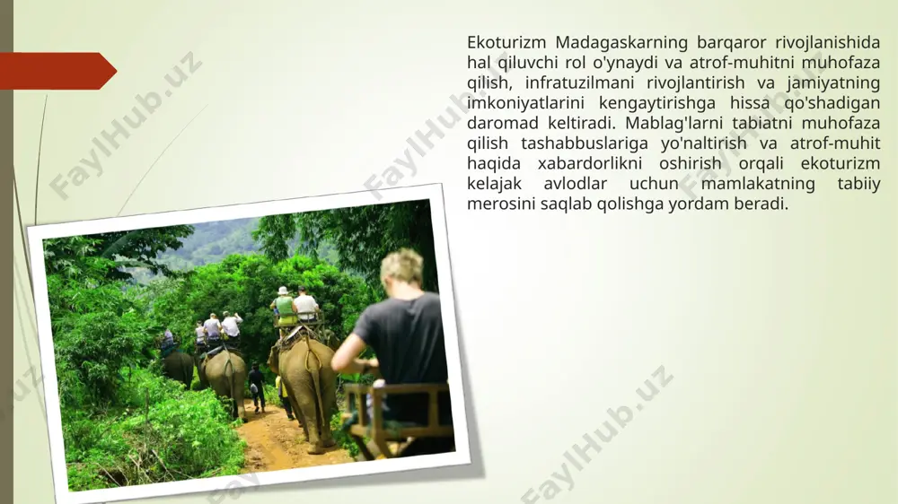 ydi. ushbu xizmatlar ekoturizmdan olinadigan umumiy daromadga hissa qo'shadi. bundan tashqari, milliy bog'lar va qo'riqxonalarga kirish to'lovlari madagaskar uchun yana bir muhim daromad manbai hisoblanadi. ushbu to'lovlar mahalliy va xalqaro sayyohlardan olinadi va mablag'lar tabiatni muhofaza qilish sa'y-harakatlarini qo'llab-quvvatlash, tashrif buyuruvchilar uchun qulayliklarni yaxshilash va qo'riqlanadigan hududlar infratuzilmasini saqlash uchun sarflanadi. kirish to'lovlaridan tushgan daromad nafaqat atrof-muhitni muhofaza qilishga hissa qo'shadi, balki bog' qo'riqchilari, gidlar va ma'muriy xodimlar uchun ish joylarini yaratadi. to'g'ridan-to'g'ri daromaddan tashqari, ekoturizm ham mahalliy iqtisodiyotga multiplikativ ta'sir ko'rsatadi. turistlarning turar joy, oziq-ovqat, transport, esdalik sovg'alari va boshqa tadbirlarga sarflagan pullari mahalliy jamoalar ichida aylanib, keng doiradagi korxonalar va jismoniy shaxslarga foyda keltiradigan to'lqinli effekt yaratadi. ushbu iqtisodiy in'ektsiya biznesni rag'batlantirish, bandlik imkoniyatlarini oshirish va mahalliy hamjamiyatlarning umumiy turmush darajasini yaxshilashga yordam beradi. e’tiboringiz uchun rahmat! infografía