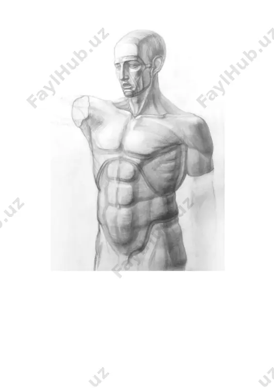 anatomik bosh qalamtasvirini ishlash (ekorshe gudon modeli). - Page 4