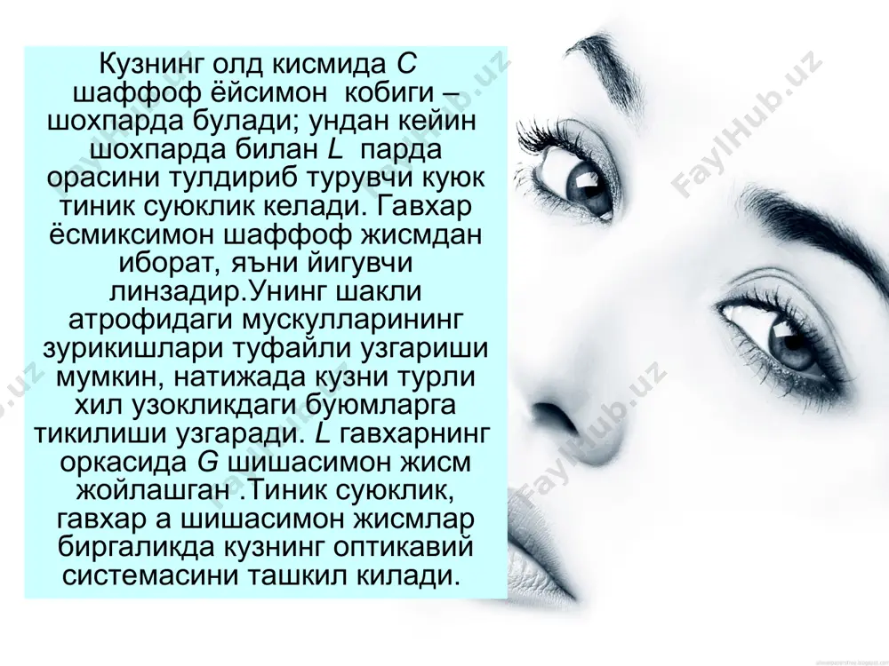 критик частота деб атлади. у манбанинг равшанлигига, куз адаптацияси холатига, турпардадаги урнига ва бошкаларга боглик. нормал ёритилган шароитда бу катталик тахминн бир секундда 10 та чакнашга тугри келдиган деб хисоблаш мумкин. демак , милтилламайдиган тасвир олиш учун, масалан, кино ёки телевидениеда, кадрларнинг кайтарилиш частотаси 10 дан катта булиши керак. winter eye