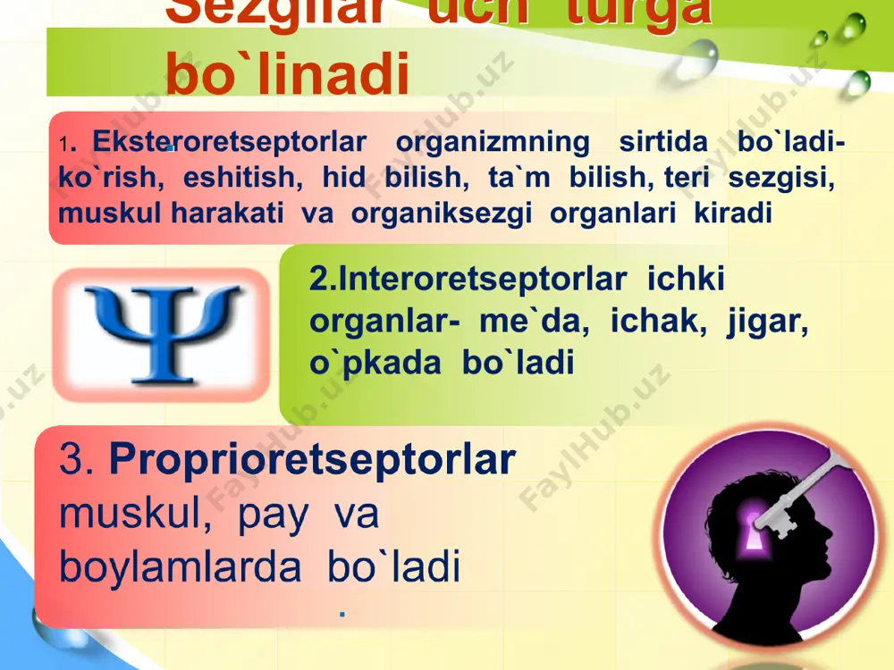 bilish jarayonlari va faoliyat psixologiyasi - Page 5