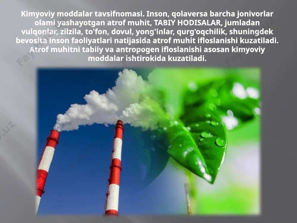 sanoat korxonalarining atrof muhitga ta'sirini baholash - Page 3