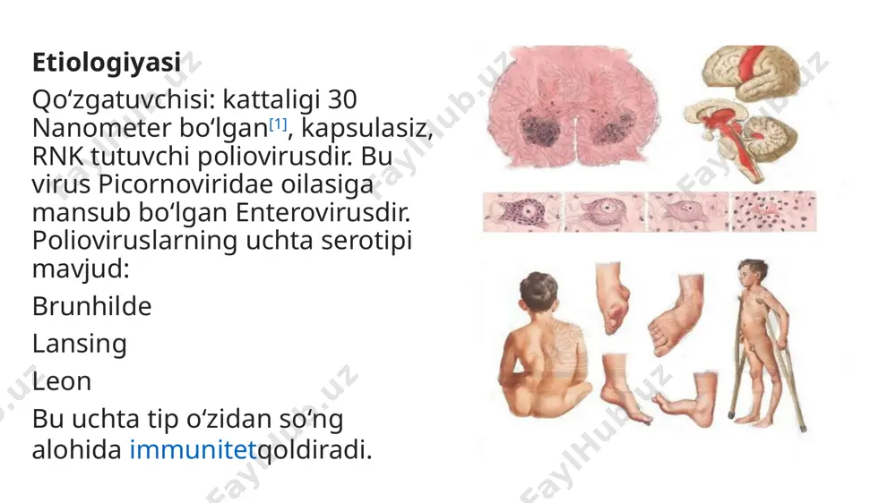 serologik metod – ifа qon zardobida jgm - aniqlanadi, keyinchalik jgg aniqlanadi image1.jpeg image2.jpeg image3.jpeg image4.jpeg image5.jpeg image6.jpeg image7.jpeg image8.jpeg