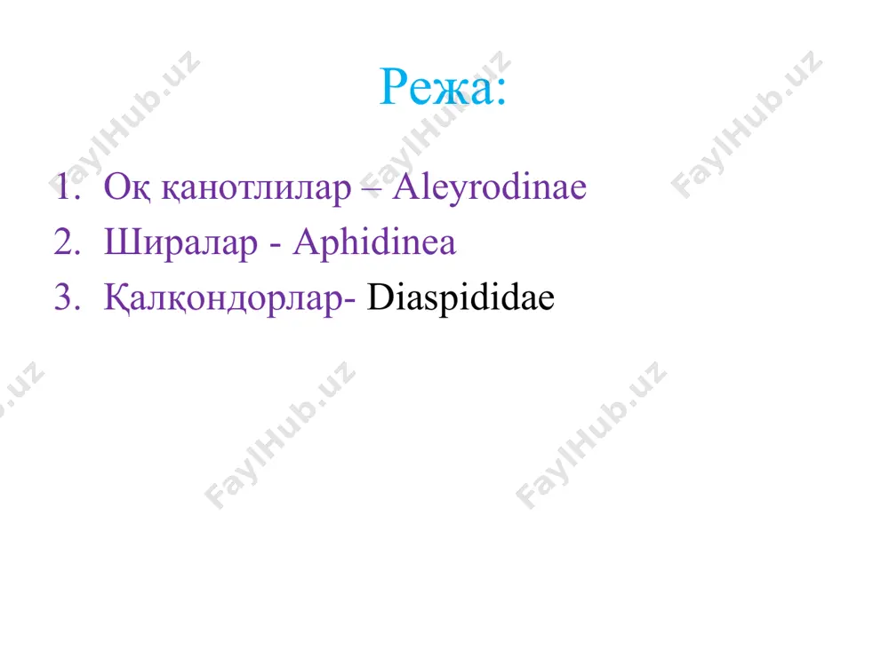 эрта зарарланса, шунча кўп ҳосилни йўқотиши мумкун. бир йилда битта ёки бир неча авлод беради. ўзбекистон шароитида булар 6-10 та авлод бериб, эрта бахорда теплица ва парниклардаги экинларга, очиқ даладаги полиз экинларига катта зарар етказади. булар тропик қитъаларда кенг тарқалган. барглар остида яшаб, уни ёпишқоқ (ширин) чиқиндилари билан ифлослантиради, замбуруғлар кўпайишига шароит туғдиради, бapгларнинг нафас олиш тешикларини беркитиб қўяди. ширалар - aphidinea ер юзида кўп тарқалган майда (0,5 мм), полиморф (колонияли) хашаротлардир. ўсимлик битлари баьзан ширинчалар деб хам аталади. уларнииг танаси нозик (юмшоқ), кўпинча овал кўринишда, баъзан шар ва хатто цилиндирсимон сийрак ёки зичрок туклар, баъзан оқ ғубор ёки безлар ишлаб чиқарган ок мумсимон момик билан қопланган. ранги сарғиш, тўқ яшил, қорамтир ва қора бўлиши мумкин. мўйловлари 3-6 бўғимли, биринчи икки бўғими қисқароқ ва йўғонроқ. хартуми чўзиқ пастки лабдан иборат бўлиб, уч бўғимлидир. кўкрак қисми олдинги, ўрта ва орқа кўкракдан иборат, шундан ўрта кўкрак энг каттаси, канотлари орқа кўкрак билан …
