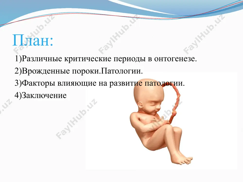 идет процесс формирования плаценты,который совпадает с этапом деления клеток будущих органов и систем плода (органогенез). поражение зародыша именно в этот период ведет к возникновению врожденных пороков развития. при этом анатомические нарушения возникают в тех органах, которые в момент действия вредных факторов активно развивались. второй критический период: 15-20-я неделя беременности. в этот период происходит усиленный рост головного мозга. 20-24 неделя. в этот срок наряду с дальнейшим ростом органов плода происходит становление и развитие важнейших функциональных систем его организма (кровообращения, свертываемости крови, центральной нервной системы и других). повреждение плода в это время не приводит к пороку развития, но может обусловить возникновение внутриутробного заболевания. третий критический период: 28-34 недели беременности. повреждающие воздействия, а в частности, острые инфекционные заболевания матери, в этот период могут привести к преждевременным родам, рождению маловесных, слабых и даже мертворожденных детей. 5-6 день после зачатия процесс имплантации может нарушаться: при аномалиях строения матки при травмах эндометрия при наличии миомы матки …