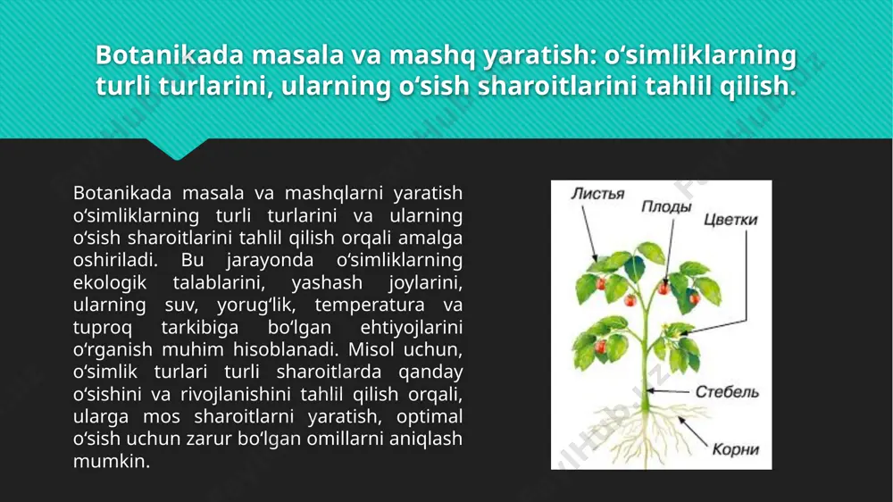 atga ega, chunki ular yangi o‘simliklarni rivojlantiradi. bunday masalalar va savollar o‘quvchilarga o‘simliklarning tuzilishini va ularning biologik jarayonlarini yaxshiroq tushunishga yordam beradi. masalan, "fotosintez jarayonida asosiy rol o‘ynaydigan o‘simlik qismi nima?" yoki "o‘simlikning suv va oziq moddalarni tuproqdan olish organi qanday ataladi?" kabi savollarni tuzish orqali bilimlarni mustahkamlash mumkin. rebuslar tuzish: o‘simliklar va tabiat bilan bog‘liq ramzlarni yaratish, ularni tushunish va echish. rebuslar tuzishda o‘simliklar va tabiat bilan bog‘liq ramzlar va tasvirlardan foydalanish o‘quvchilarga tabiatni yaxshiroq tushunishga va tasavvurini kengaytirishga yordam beradi. quyida o‘simliklar va tabiatga oid rebuslar matn shaklida keltirilgan: rebus: quyosh + yaproq javob: fotosintez (quyosh + yaproq) rebus: daraxt + yaproq javob: yoshil daraxt (yaprog‘ining tushishi) rebus: qush + yaproq javob: o‘simliklar va qushlar bilan bog‘liq ekosistema rebus: meva + o‘simlik javob: meva va o‘simliklar rebus: yomg‘ir + gullar javob: yomg‘ir va gullar (o‘simliklarning o‘sishi uchun zarur omillar) rebus: tuproq + daraxt + yaproq javob: tuproq, daraxt …