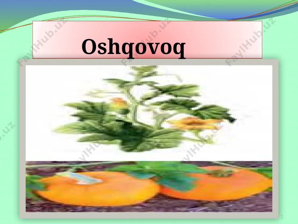 "ta`lim ijodkori" online tanlovi - Page 2