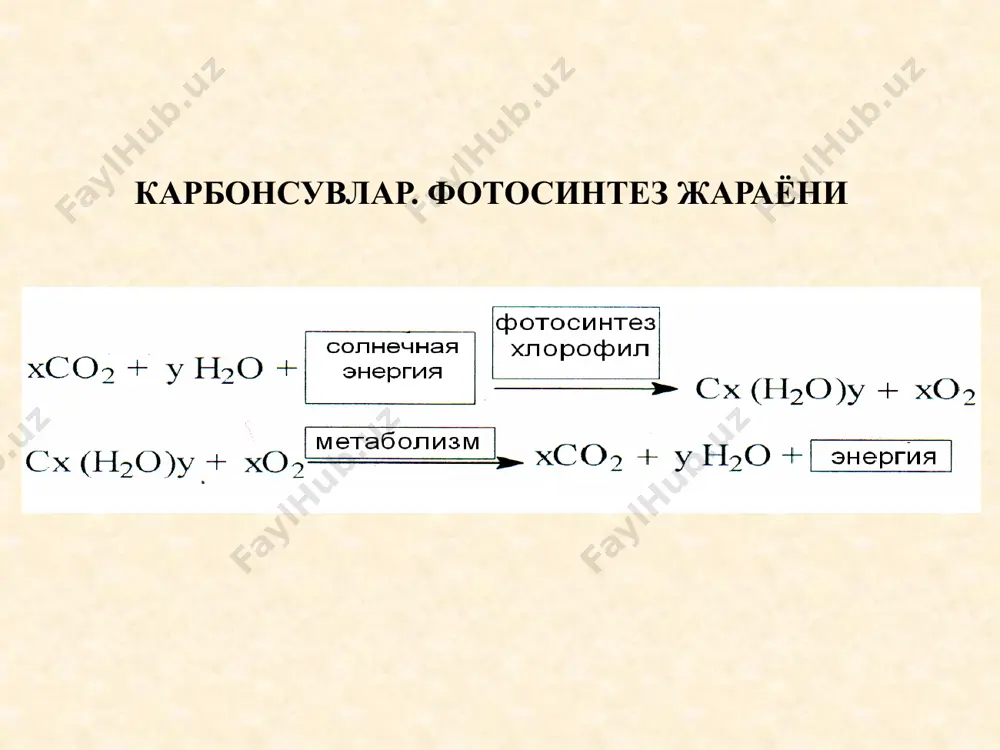карбонсувлар. фотосинтез жараёни моносахаридларнинг таснифи - Page 2
