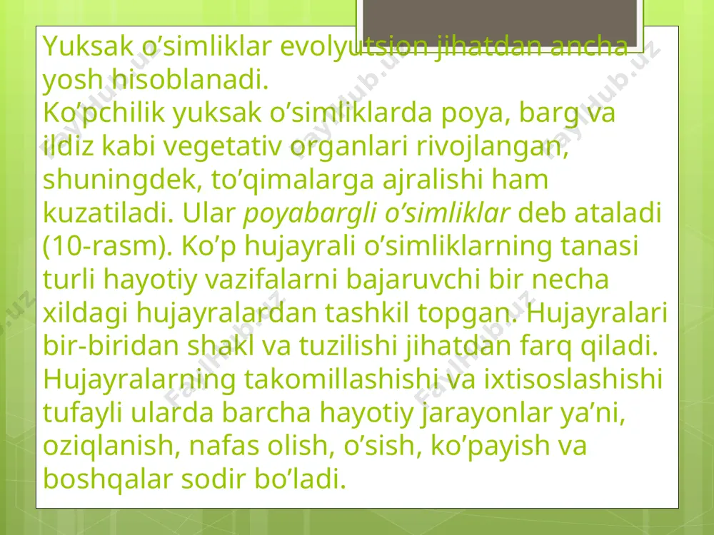 o'simliklar - Page 5