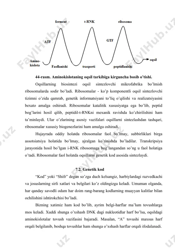 molekulasidagi 4 xil mononukleotidlar yordamida ifodalanishiga genetik kod deb ataladi. dnk molekulasidagi nukleotidlar soni faqat 4 ta bo’lganligi uchun bitta nukleotid yagona aminokislotani ifoda eta olmasligi ma’lum. xuddi shunga o’xshash, ikkita nukleotiddan tashkil topgan juft to’plami ham (dupletli) 20 ta aminokislotani ifodalash uchun kifoya qilmaydi. shuning uchun g.gamov (aqsh) genetik kod 3 ta nukleotid to’plamidan (tripletli koddan) tashkil topgan bo’lishi kerak degan g’oyani ilgari suradi. ingliz olimi f.krik kod hosil bo’lishida 3 ta nukleotid qatnashishi mumkinligini nazariy hisoblab, triplet kodini kodon deb atashni taklif etgan. 1961 yilda m.nirenberg o’z shogirdlari bilan birgalikda sintetik polinukleotid matritsa-poliuridin kislotadan foydalanib, triplet kodini tasdiqlagan. bunday matritsa e.coli hujayra shirasi yordamida faqat polifenilalaninni sintezlashi kuzatilgan. polisitidil esa poliprolinni, poliadenil esa polilizinni sintezlar ekan. shu sababli uuu tripleti finilalaninni, sss prolinni, aaa lizinni kodlashini aniqlangan. tajribalar tufayli, oqsil tarkibida uchraydigan barcha aminokislotalarni ifodalovchi tripletlar aniqlandi. keyinchalik f.krik ularni juftlab, shu asosda genetik kod lug’atini tuzdi (4-jadval). …