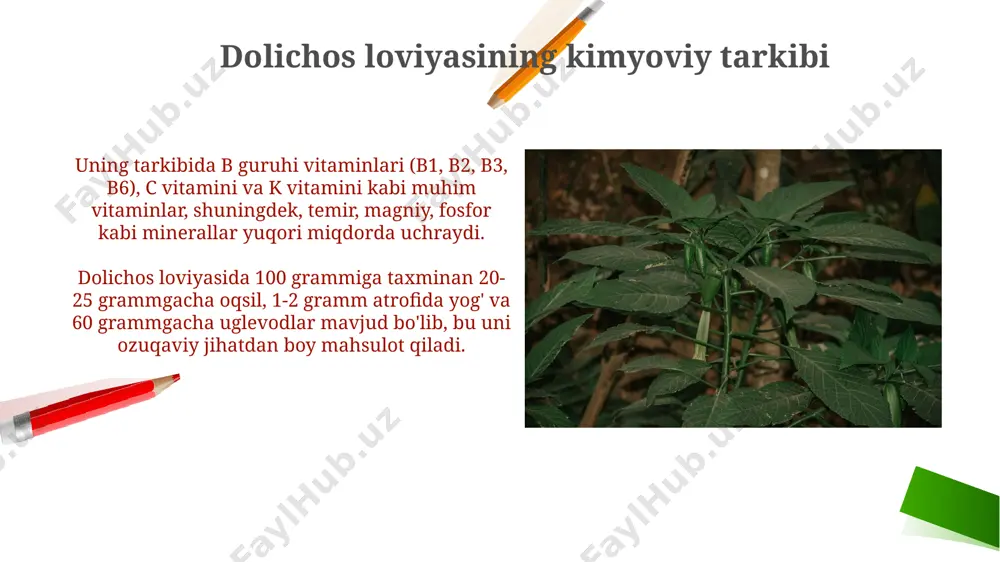 orat 20-25°c oraligʻida boʻlishi, vegetatsiya davri esa kamida 120 kun davom etishi kerak. dolichos loviyasi yaxshi drenajlangan, unumdor tuproqlarni, ph darajasi 6.0-7.0 oraligʻida boʻlgan tuproqlarni afzal koʻradi, tuproq namligi 60-70% oraligʻida saqlanishi muhim. dolichos loviyasining yon ta'siri ba'zi odamlarda dolichos loviyasi allergik reaksiyalarni, teri toshmalari va qichishishni keltirib chiqarishi mumkin, bu holatlarning 5% gacha kuzatilgan. dolichos loviyasi tarkibidagi lektinlar yuqori dozalarda iste'mol qilinganda qon hujayralariga ta'sir qilib, kamdan-kam hollarda anemiya xavfini oshirishi mumkin. dolichos loviyasi tarkibidagi faol moddalar dolichos loviyasi tarkibidagi antosiyaninlar antioksidant xususiyatlarga ega boʻlib, hujayra shikastlanishini 30% gacha kamaytirishi mumkin. uning tarkibida saponinlar, alkaloidlar va fenolik birikmalar kabi 50 dan ortiq bioaktiv moddalar aniqlangan boʻlib, ularning terapevtik taʼsiri bor. dolichos loviyasining qo'llanilishi (xalq tabobati) dolichos loviyasi ekstraktidan tayyorlangan damlamalar 30% gacha og‘riq qoldiruvchi ta’sirga ega bo‘lib, revmatizm va artrit alomatlarini yengillashtirishda qo‘llaniladi. an’anaviy tibbiyotda dolichos loviyasi, 5-7 kun davomida muntazam iste’mol qilinganda, qon tarkibidagi xolesterin miqdorini 15% ga …