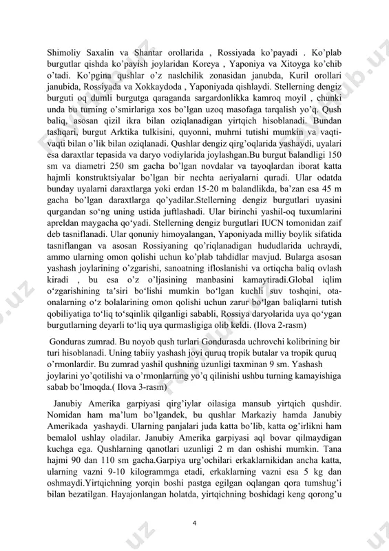 4-5 kilogrammni tashkil qiladi va butun vaznini uzun ingichka oyoqlarda ushlab turadi. ibislar leylak va laylaklarga juda o’xshaydi: ular uzun bo’yin, oyoq va tumshug’i bilan bog’liq. ibis tumshug’ining uzunligi 40 sm, bo’yni esa yarim metrga yetishi mumkin. yovvoyi tabiatda umr ko’rish davomiyligi taxminan 20 yil. shunisi e’tiborga loyiqki, bu qushlar monogamdir, ya’ni ular bir marta va umuman o’zlari uchun juftlikni tanlaydilar. oq ibisning oyoqlari va yalang’och bo’yni qizil rangga ega. bugungi kunda xitoyda faqat bitta koloniya ma’lum bo’lib, unda atigi 17 kishi mavjud. turlarning yo’q bo’lib ketishiga asosiy sabab insonlar tomonidan ov qilinishi va o’rmonlarning ommaviy qirilishi hisoblanadi. bugungi kunda ibislar himoya ostida bo’lishiga qaramay, ular yo’q bo’lib ketishda davom etmoqda. (ilova 1-rasm) stellerning dengiz burguti. bu noyob qushlar rossiyadan tashqarida kamdan-kam uchraydi, ular vaqti-vaqti bilan qishlash uchun uchib ketishadi. steller dengiz burguti ( haliaeetus pelagicus ), tinch okeani dengiz burguti yoki oq yelkali burgut sifatida ham tanilgan yirik kunduzgi …