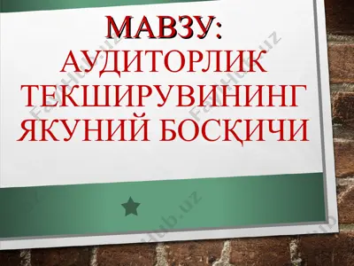 audit tekshiruvlari — PPT
