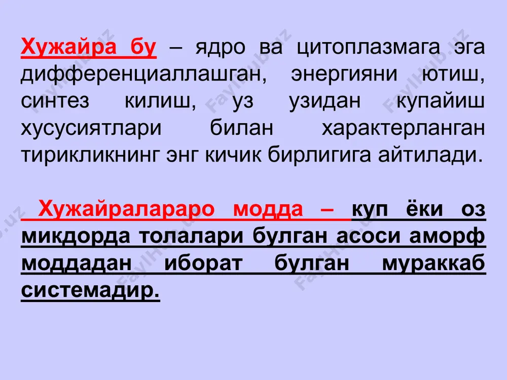 мугуз пардаси, қин, тўғри ичакнинг анал қисми 2. ичак эпителийси энтодерма ингичка ичак, ўт қопи, буйрак каналчалари 3. целомик эпителий мезодерма сероз пардалар, буйрак кагалчалари 4. эпендимоглиал нерв найчаси орқа мия марказий канали, бош мия қоринчалари 5. ангиодермал мезенхима қон, лимфа томирлар, эндокард эпителий тўқимасининг хусусиятлари: эпителий тўқимаси бир-бирига зич жойлашган хужайралар тўпламидан иборат бўлиб, улар орасида хужайралараро модда деярли бўлмайди. эпителий тўқимаси доимо базал мембранада ётади. эпителий хужайралари қутбли дифференциаллаш хусусиятига эга. эпитлеий тўқимасида қон томирлар бўлмайди. эпителий тўқимаси юқори даражада қайта тикланиш хусусиятига эга. types of epithelial tissue бир қаватли ясси эпителий – мезотелий -хужайралари турли шаклда бўлиб, цитоплазмада 2-3 та ядроси бор. -ҳужайранинг эркин юзасида микроворсинкаларга эга -ҳужайралар бир-бири билан десмосомалар ёрдамида бирикади. -вазифаси аъзоларнинг ўзаро сирпанма ҳаракатини амалга ошириш. бир қаватли ясси эпителий (мезотелий) – сероз парда препарати буйракнинг йиғувчи найчасидаги бир қаватли кубсимон эпителий -буйрак каналчаларида безларнинг чиқарув найларида -кичик бронхларда -буйрак каналчаларида учрайди. кубсимон …