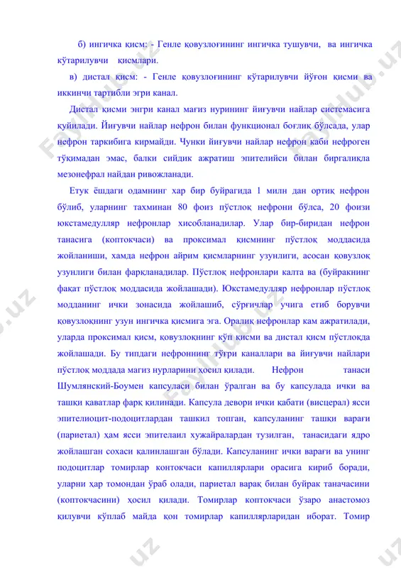 телиоцит-подоцитлардан ташкил топган, капсуланинг ташқи варағи (париетал) ҳам ясси эпителаил хужайралардан тузилган, танасидаги ядро жойлашган сохаси қалинлашган бўлади. капсуланинг ички варағи ва унинг подоцитлар томирлар контокчаси капиллярлари орасига кириб боради, уларни ҳар томондан ўраб олади, париетал вapaқ билан буйрак таначасини (коптокчасини) ҳосил қилади. томирлар коптокчаси ўзаро анастомоз қилувчи кўплаб майда қон томирлар капиллярларидан иборат. томир коптокчалари капиллярларининг эндотелиоцитлари ўзига хос хусусиятларга эга. эндотелиоцитлар ясси шаклга эга бўлиб, кўплаб фенестрлар тутадилар. қўшимча эндотелиал тешикчалар диафрагма билан ёпилиб туради. эндотелиал хужайралар, эндотелий ва подоцитлар учун умумий бўлган базал мембранада ётадилар. базал мембрана уч қабатга эга ва фибриллалардан тузилган бўлиб, ўрта қабати қорамтир зич, ташқ қабатлари-оқиш бўлади. базал мембран фибриллалардан иборат-фильтрли тузилишига эга деб фараз қилинади. подоцит танасидан 2-3 та йирик ўсимталар цитотрабекулалар ҳосил бўлади. цитотрабекула капиллярларга яқинлашганда 2-3 капиллярларнинг базал мембранаси билан алоқада бўлувчи цитоподияларни (цитопедикула) ҳосил қилади. цитопедикуланинг катталиги уларнинг функционал холатига боғлиқ. цитопедикула орасида капсула бўшлиғи билан алоқада бўлувчи тешикчалар …