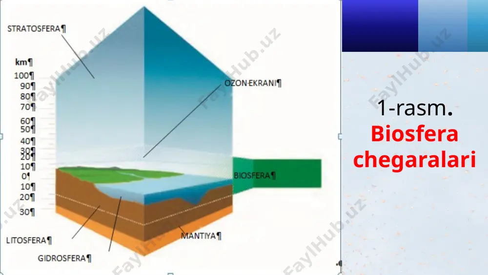 b bo‘ldi. № o‘simliklar guruhi organik moddalar kul elementlari va azot umumiy biomassasi ildizlar biomassasi har yilgi to‘planishi har yilgi xazon miqdori biomassada har yili o‘zlashtiriladigani xazonlar bilan har yili yerga qaytadigani o‘zlashtiriladigani va yerga qaytariladigani orasidagi farq 1 janubiy tayga qarag‘aylari 2800 636 51 47 18,8 0,85 0,58 -0,27 2 janubiy tayga qarag‘ayzorlari 3300 735 85 55 27,0 1,55 1,20 -0,35 3 sfagnum botqoqliklari 370 40 25 25 6,1 1,09 73,0 -0,36 4 emanzorlar 4000 900 65 65 58,0 8,40 2,55 -0,85 5 oq qayinzorlar 2000 505 70 70 21,0 3,80 2,90 -0,90 6 dasht o‘tloqlari 250 170 137 137 4,8 6,82 6,82 0,0 7 qo‘riq dashtlar 100 85 42 42 3,5 1,61 1,61 0,0 asosiy o‘simlik fitotsenozlaridagi biomassa miqdori va tarkibi, ga/s (l.v.rodin va n.n.bazilevich bo‘yicha, 1965) quruqlik biomassasi qutblardan ekvatorga borgan sari biomassa miqdori va organizmlar turlarining soni ortib boradi. ayniqsa, tropik iqlim sharoitida o‘simliklar turlari juda …