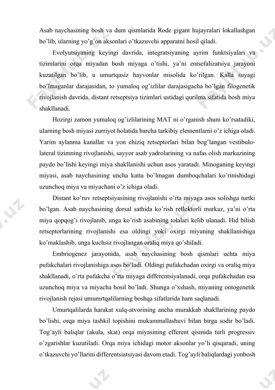 adi. hid bilish retseptorlarining rivojlanishi esa oldingi yoki oxirgi miyaning shakllanishiga ko’maklashib, unga kuchsiz rivojlangan oraliq miya qo’shiladi. embriogenez jarayonida, asab naychasining bosh qismlari uchta miya pufakchalari rivojlanishiga asos bo’ladi. oldingi pufakchadan oxirgi va oraliq miya shakllanadi, o’rta pufakcha o’rta miyaga differentsiyalanadi, orqa pufakchadan esa uzunchoq miya va miyacha hosil bo’ladi. shunga o’xshash, miyaning ontogenetik rivojlanish rejasi umumrtqalilarning boshqa sifatlarida ham saqlanadi. umurtqalilarda harakat xulq-atvorining ancha murakkab shakllarining paydo bo’lishi, orqa miya tashkil topishini mukammallashuvi bilan birga sodir bo’ladi. tog’ayli baliqlar (akula, skat) orqa miyasining efferent qismida turli progressiv o’zgarishlar kuzatiladi. orqa miya ichidagi motor aksonlar yo’li qisqaradi, uning o’tkazuvchi yo’llarini differentsiatsiyasi davom etadi. tog’ayli baliqlardagi yonbosh ustunlarning ko’tariluvchi yo’llari uzunchoq miya va miyachaga qadar boradi. shu bilan birga, orqa miyaning orqa ustunlarining ko’tariluvchi yo’llari differentsiyalashmagan va qisqa bo’g’imlardan tuzilgan. pastga tushuvchi yo’llar rivojlangan retikulospinal trakt va vestibulolateral tizimni hamda miyachani orqa miya bilan bog’lovchi yo’llar orqali namoyon bo’ladi. uzunchoq …