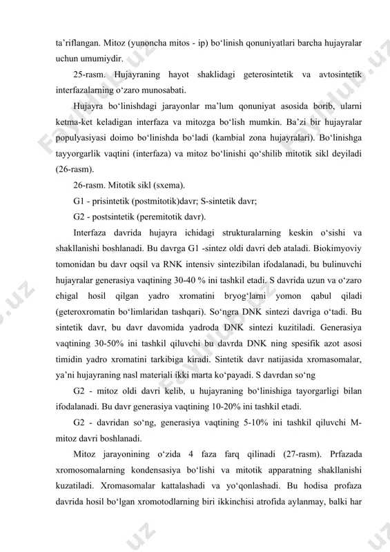 boshlanadi. mitoz jarayonining o‘zida 4 faza farq qilinadi (27-rasm). prfazada xromosomalarning kondensasiya bo‘lishi va mitotik apparatning shakllanishi kuzatiladi. xromasomalar kattalashadi va yo‘qonlashadi. bu hodisa profaza davrida hosil bo‘lgan xromotodlarning biri ikkinchisi atrofida aylanmay, balki har biri o‘zicha spiralhosil qiladi. shuning uchun ular mitozning keyingi fazalarida yengil ajraladi. profazaning oxirida xromasomalar juft xromotidlardan tashkil topadi. xromasomalarning kattalashishi va yo‘qonlashishi bilan birga xromatidlar sentromeralar deb ataluvchi ma’lum bo‘limlari bilan birlashadi. profaza oxirida xromosomalar bo‘linayotgan yadroning ekvatorial yuzasida joylashib, bo‘linish dukchasini hosil qila boshlaydi (27-rasm). duk ikki tipdagi ipchalardan-qutblarni birlashtirib turuvchi markaziy va qutblarni xromasoma sentromerlari bilan birlashtirib turuvchi xromosom ipchalaridan tashkil topgan. elektron mikroskopiya mitotik apparat ipchalari zich devorli naychalardan tashkil topganligini ko‘rsatadi. ularning diametri 20 nm, devor qalinligi 4-5 nm. xayvonlarda senriolalar orasidagi dukcha sentriolalar yadroning qarama-qarshi qutblariga qarab siljiydi. bu vaqtda dukcha kattalashib, yadro qobiqining erishi xarakterlidir. elektron mikroskopik kuzatishlar mitoz davrida yadro qobiqining bo‘lakchalari yo‘qolmay, balki sitoplazmatik to‘r membranalarga …