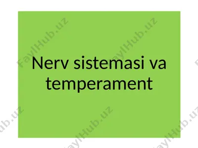 nerv sistemasi va temperament — PPTX