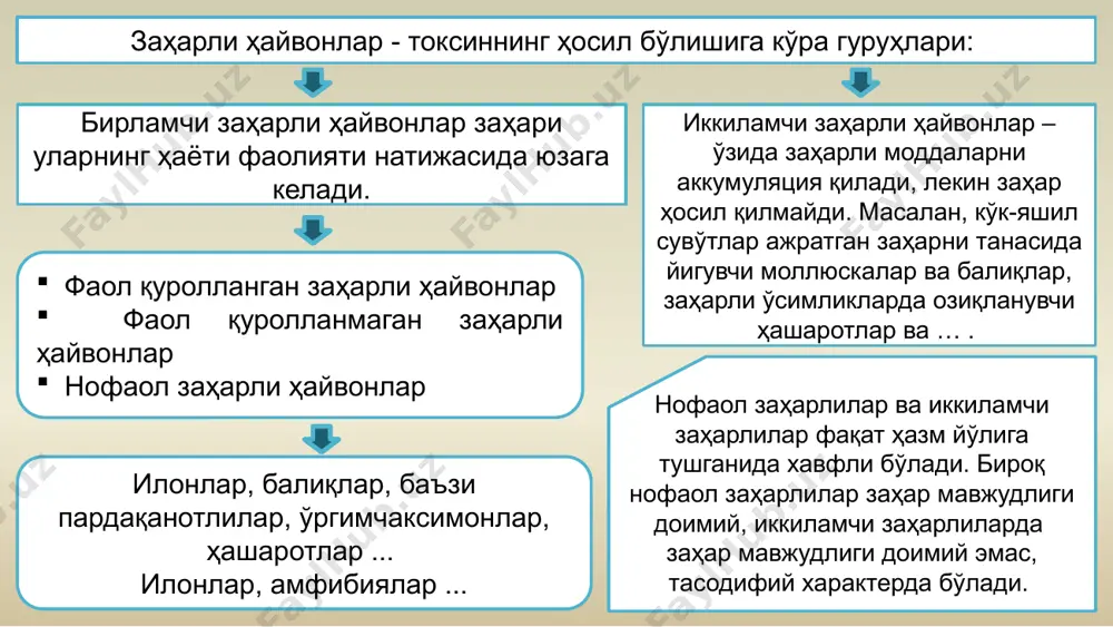 ин ковакичлиларнинг кўпгина вакиллари заҳари таркибида учрайди. серотонин умуртқалиларда нерв импульсларини узатилишига ёрдам беради. гипнотоксин гуруҳи. гипнотоксин анестезия хусусиятига эга. конгестин ҳайвонларда анафилаксия ҳолатини келтириб чиқаради. аурелия медузаси заҳарида конгестин бор. протеин, гемолизин ва бошқа гистаминлар гуруҳи. физалия заҳарида конгестин ва протеин аниқланган цианея заҳаридаги гистамин ўлимга олиб келади. денгиз қовоқ ариси заҳарида гемолизин ва гистамин бор. заҳарли ковакичлиларнинг заҳарининг таъсири: дерматотроп нейротроп гемотроп ковакичлиларнинг заҳари ҳар хил клиник манзарани беради. гидроидлар синфи – hydrozoa заҳарли вакиллари millipora alcicorniis – ёлғон коралл учраш жойи: тинч ва ҳинд океани соҳиллари, қарийб денгизи. колония ҳосил қилиб яшайди, колонияси оҳак дарахтига ўхшайди. чиройли бўлганидан одамни жалб қилади. physalia physalis – “португалия кемачаси” учраш жойи: ўрта ер денгизи, атлантиканинг тропик қисми энг заҳарли суздирувчи пуфаги – чиройли яшил ва гунафша ранглардаги пневматофори бор gonicnemus vertens – “бутсимон” медуза учраш жойи: сахалиннинг жанубий қисми, курил ороллари одатда улар денгиз ўтлари танасига ёпишган бўлади. гидроидлар синфи …