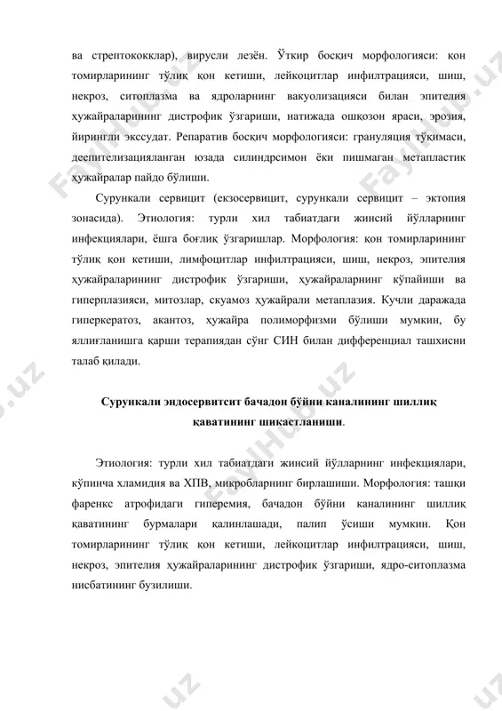 рагик таркибга эга майда весикулалар кластерлари, весикулалар очилганда ошқозон яраси; 2 ва кўп ядроли ҳужайралар, ядроларнинг кўпайиши, интраепителиал весикулалар. акантоз, гипер ва паракератоз (лейкоплакия). ҳужайра атипияси бўлмаган бачадон бўйни лейкоплакияси (лшм) кератоз ёки гиперкератоз деб таснифланади, атипия белгилари – бачадон бўйни дисплазияси. халқаро бачадон бўйни патологияси ва колпоскопия федерацияси (рио-де-жанейро, 2011) бачадон бўйни аномал колпоскопик расмдаги ўзига хос бўлмаган ўзгаришлар сифатида таснифланади. ҳужайра атипиясиз лейкоплакия бу бачадон бўйни шикастланиши ва ҳпв бўлмаса, саратон касаллиги бўлмайди. этиология: қоида тариқасида, яллиғланиш жараёнининг натижаси. акантоз: парабазал қатлам ҳужайраларининг кўпайиши ва экзосервикснинг субепителиал тўқималарга чўкиши. гиперкератоз: кератин қатлами экзосервикс эпителияси юзасида пайдо бўлади – ингичка ядросиз тузилмалар. ташқи силлиқ қатлами палиплар. паракератоз: ппе ташқи қатламида пикнотик ядро ва оксифил ситоплазмаси бўлган бир неча қатор яссиланган ҳужайралар мавжуд. гипер ва паракератозни cин ва мдх билан бирлаштириш мумкин! бачадон бўйни ўсимтага ўхшаш лезёнлар. кисталар (ретенсион ёки набот кистаси). этиология: ўзгармаган бачадон бўйни трансформацияси зонасида ёки сервицит …