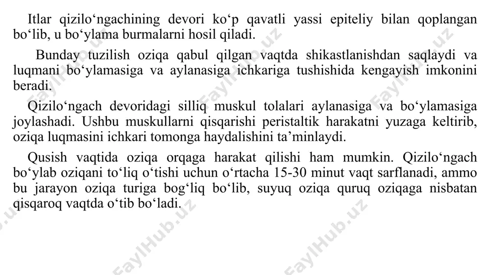 h – ichak tipidagi oshqozonga bo‘linadi. ichak tipidagi oshqozonning butun shilimshiq pardasi silindrsimon epiteliy bilan qoplangan, hamma joyida bezlar bo‘ladi. qizilo‘ngach – ichak tipidagi oshqozonning qizilo‘ngachga yaqin joyi ko‘p qavatli yassi epiteliy bilan qoplangan bo‘lib bezsizdir. pilorusga (12 barmoq ichakka chiqish teshigiga) yaqin qismi esa silindrsimon epiteliy bilan qoplangan va ko‘p bezli bo‘ladi. oshqozonning devori ham uch qavatdan iborat bo‘ladi. ichki shilimshiq parda qavatining bezli va bezsiz qismlari rangi bilan farq qiladi. bezsiz qismining rangi qizg‘ish – oq, ko‘p qavatli epiteliy bilan qoplangan, bezli qismi esa qoramtir rangda bo‘lib, unda limfa follikulalari uchraydi. bu qismning bir qancha joyida chuqurchalar ko‘rinib turadi, ularga bezlarning chiqarish yo‘llari ochiladi. bezlar joylashishiga qarab, kardial, pilorus va fundal qismlarga bo‘linadi. ularning shira ajratishi ham har xil bo‘ladi. muskul qavati – uch xil: uzun, aylanma va qiyshiq silliq muskul tolalaridan iborat. uzun muskul tolalari - stratum longitudinale juda yupqa bo‘lib, oshqozonning katta – kichik burmalarida joylashadi …