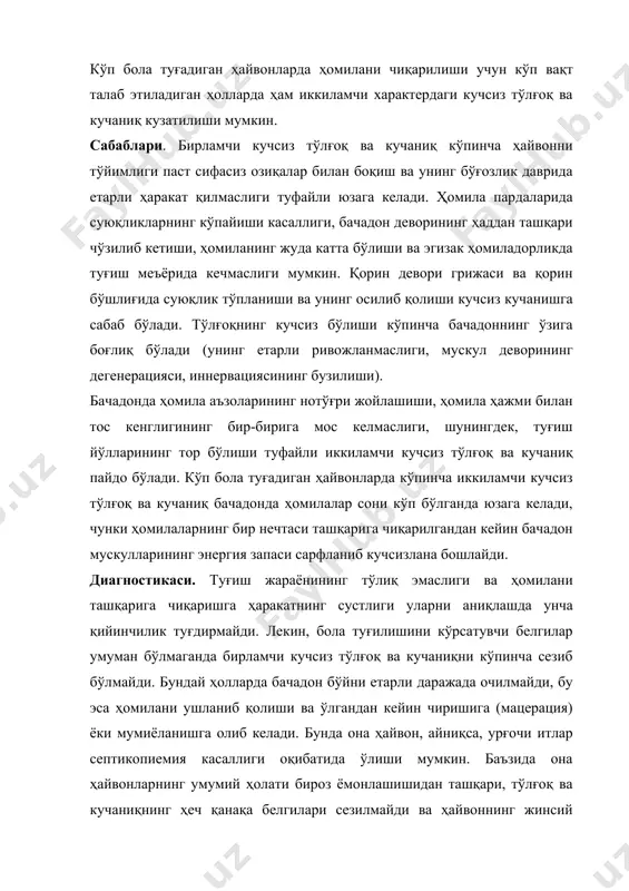 иши ва кучаниқлар баъзан бачадондан битта ёки бир неча ҳомиланинг ташқарига чиқарилишидан кейин кузатилади. бунда кучсиз тўлғоқ ва кучаниқ сабабли бола туғилиши тухтаб қолиши мумкин. бу пайтда бачадондаги ҳамма ҳомила чиқарилди деб хатоликка йўл қўйиш мумкин. шунинг учун, ҳайвонни (майда ҳайвонларда) ташқи томондан вагинал текшириб, унинг бачадонида яна ҳомила бор-йўқлигини аниқлаш мақсадга мувофиқдир. оқибати. ёрдам кўрсатилмаганда ҳатто бола туғилиб бўлгандан кейин ҳам туғишдан кейинги даврда касалликнинг асорати кузатилиши мумкин (бачадоннинг пастга тушиб қолиши ёки бачадон мускулларининг қисқармаслиги). кўп туғадиган ҳайвонларда тўлғоқ ва кучаниқ оқибатида кўпинча бачадон шохининг охирги қисмида жойлашган ҳомила ўлиб қолади, чирийди ва она ҳайвонда септикопиемия ривожланишига сабаб бўлади. даволаш. ҳайвонда кучсиз тўлғоқ ва кучаниқ кузатилганда баъзан қўлни ҳайвоннинг туғиш йўллари ёки бачадонига киритиб, унинг деворини босиш орқали рефлектор йўл билан нормал туғиш фаолияти қўзғатилади. йирик ҳайвонларнинг туғиш йўлларида ҳомила тўғри жойлашганда унинг ташқарида жойлашган қисмидан қўл билан тортиш орқали ҳомилани бачадондан ташқарига чиқариш билан дард тутиши ва …