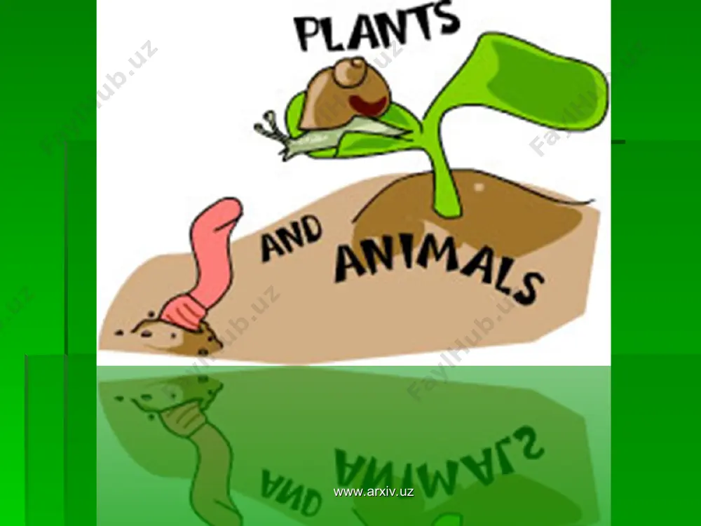, nematodalar) parchalab, anorganik moddalarga aylantiradi. www.arxiv.uz www.arxiv.uz ba'zi hayvonlar, chunonchi yirtqich qushlar zararkunanda kemiruvchilarni qirib, o'simlik hosildorligini oshiradi yoki ba'zi foydali hasharotlar o'simliklarni zararkunanda hasharotlardan va kasalliklardan saqlaydi. masalan, boyqush bir yilda 1000 ta sichqonni yo'q qilib, 0,5 t donni saqlab qolsa, chumolilar o'rmonlarni kasallikdan saqlaydi. bir xujayrali dengiz hayvonlarining qoldiqlaridan cho'kindi jinslar (bo'r, ohaktosh) vujudga kelsa, poliplarning faoliyati tufayli okeanlarning sayoz va iliq suvli qismida marjon orollari vujudga keladi. www.arxiv.uz www.arxiv.uz www.arxiv.uz www.arxiv.uz o`simliklar va hayvonlar biosferaning asosiy tarkibiy qismi bo`lib, tabiiy resurslar orasida muhim o`rin egallaydi. tabiatda muvozanat ko`p jihatdan o`simlik va hayvonlarning xilma-xilligiga bog`liq. biosferadagi moddalar davriy aylanishi tirik organizmlarning bevosita ishtirokida o`tadi. o`simlik va hayvon maxsulotlarisiz hayotni tasavvur qilib bo`lmaydi. o`simlik resurslari tugaydigan va tiklanadigan tabiiy resurslarga kiradi. www.arxiv.uz www.arxiv.uz o`simliklar yer yuzidagi hayotning asosidir. sayyoramizda 500 mingdan ortiq o`simlik turlari aniqlangan. o`simliklar kislorod va organik moddalar manbaidir. fotosentez jarayonida ular co2 ni yutib, o2 …
