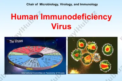 human immunodeficiency virus — PPT