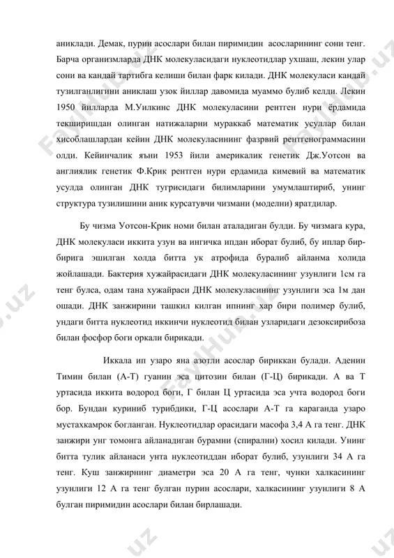 тен 1957 йилиднк молекуласининг икки хисса ошиши (репликация) нинг куйидаги 3 та усулда боришлигини курсатди. 1.куш занжир бузилмасдан (консерватив) – янги днк молекуласи хосил булади. 2.куш занжир иккига ажралиб (ярим консерватив), куш занжирли днк молекуласи узилмасдан бир-биридан ажралади ва хар бирининг каршисида уларга комплиментар (мос) булган днк занжири хосил булади. 3.куш занжир бузилиб, булакларга ажралиб (дисперсион) янги днк занжири дастлабки днк молекуласининг бузилишидан вужудга келган булакларининг хар хил тузилмасидан хосил булади. днк молекуласининг репликациясини тушунтирувчи юкоридаги усуллардан ярим консерватив усул уотсон ва криклар таклиф килган днк структурасининг тузилишига мос келади. днк молекуласининг ярим консерватив усулда иккиланишида дастлаб азотли асослар уртасидаги водород боги узилади. узилиш булгандан кейин куш занжир ажрала бошлайди ва хар бир ажралган занжир уз атрофига кариоплазмада булган нуклеотидлардан узига комплиментар булганини олиб, янги занжир хосил килади.шу усулда хосил булган днк молекуласи олдингисига айнан ухшаш булади.днк репликациясининг ярим концерватив усули юкори тузилган хайвонлар ва усимликларда яхши урганилган.дж.тэйлор дуккакли усимлик …