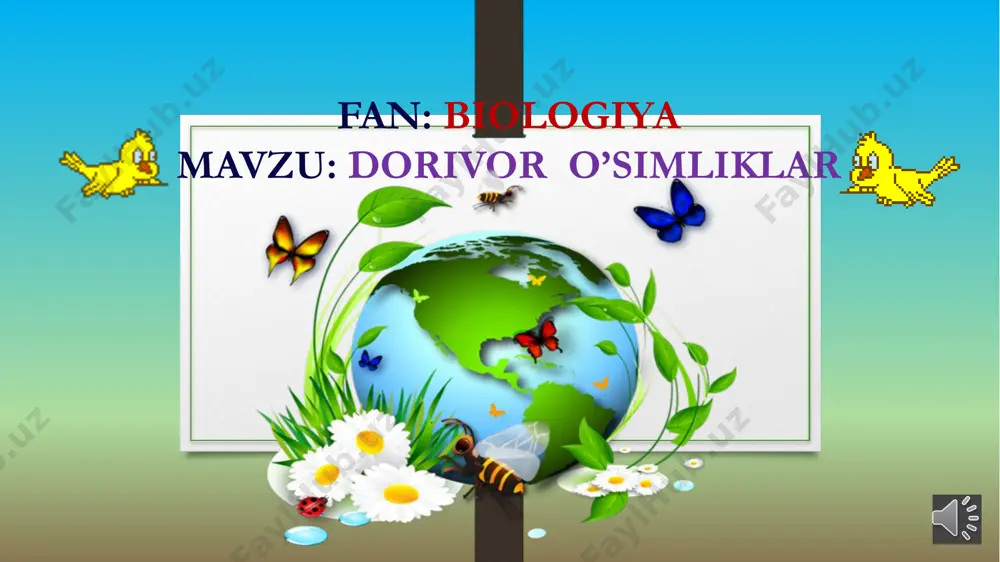 irinmiya kashnich ko’kati vitaminlarga boydir.kashnich urug’idan tayyorlangan damlama yo’talni to’xtatadi. og’izdagi yoqimsiz hidni ketkazishda, ichak kasalliklarini davolashda ham shunday damlama ichiladi. shirinmiya --ildizpoyasidan damlama tayyorlab, quruqyo’tal, tomoq og’rig’i davolanadi. zaharli o’simliklar kanakunjut-barglari yirik,palmaga o’xshaydi. urug’idan zaharlangan odamda ich ketishi,ko’ngil aynishi kuzatiladi.urug’ida zahardan tashqari 40-50 foiz moy bor,tabobatda soch va teri parvarishida keraklidir. bangidevona- barcha qismlari zaharli, urug’i va hididan asablar zarar ko’radi. zaharlanish belgisi: og’iz qurishi,yurak urishi tezlashishi,qo’l va oyoq harakatlari va mo’ljal olishning qiyinlashuvi. mingdevona-iste’mol qilingandan so’ng 10-20 daqiqada o’g’iz qurishi,ko’z qorachig’ining kengayishi, ovoz bo’g’ilishi, yuzning qizarishi,yurak ishi susayishi kuzatiladi. ko’proq suyuqlik ichirib, qayd qildirish kerak. eslab qoling!!! zaharli o’simlik kanakunjut bangidevona mingdevona ayiqtovon dorivor o’simlik na’matak aloe isiriq yalpiz isiriq nafas yo’llari shamollash tak bosh og’rig’ida dezinfeksiya mavzu yuzasidan testlar 1-dorivor o’simliklarni belgilang ? a)ayiqtovon,do’lana b)isiriq va aloe c)bangidevona. 2-o’zbekistonda yuksak o’simliklarning nechta turibor ? a) 4500 b) 2500 c) 5500 3-tarkibida mentol va moy bor bo’lgan o’simlik …