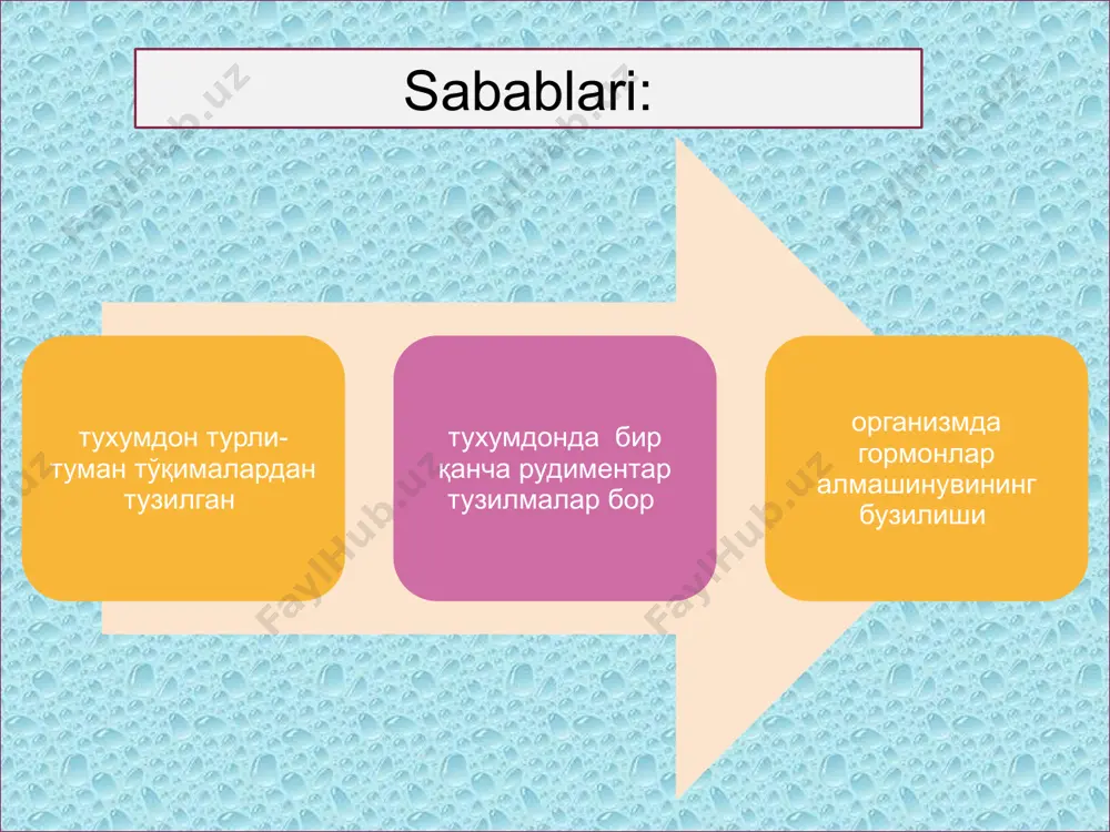 tekis shar shaklida, elastik konsistentsiyali. bo'shlig'ida seroz suyuqlik yig'iladi o'sma ko'pincha bir tomonda - chap yoki o'ng tomonda joylashadi va qorin ichida harakatchan qilib qo'yadi, chunki uning tuxumdon boylamlaridan iborat anatomik «oyoqchasi» bor kistomaning anatomik oyoqchasi ayol yumush qilganda, egilganda, yonboshi bilan yotganda o'sma chapdan o'ngga yoki o'ngdan chapga siljib turadi 180-360 gradusga aylanib qolishi mumkin. qorin pastida bexosdan qattiq og'riq sezadi ko'ngil aynish, qayt qilish paydo bo'ladi, tomir urishi tezlashib, qorin pastida shyotkin -blyumberg simptomi paydo bo'ladi. tuxumdon kistasini oyoqchasi atrofida buralib qolishi. kistomani xirurgik oyoqchasi. ikkinchi o'rinni malignizatsiya yoki rakka aylanish asorati egallaydi. bu eng jiddiy asoratdir. tuxumdonning epitelial o'smalaridan seroz (papillyar) kistomalari va psevdomutsinoz kistomalari 50% hollarda rakka aylanishi mumkin. papillyar kistomalarning kattaligi va shakli ham turli-tuman bo'ladi. odatda ular katta bo'lmaydi, diametri aksari 25sm dan oshmaydi. papillyar kistomalar ko'pincha bir kamerali, silliq yuzali bo'ladi. kistoma bir necha kameradan iborat bo'lsa, yuzi g'adir-budur bo'lib turadi tuxumdon tuboovarial …