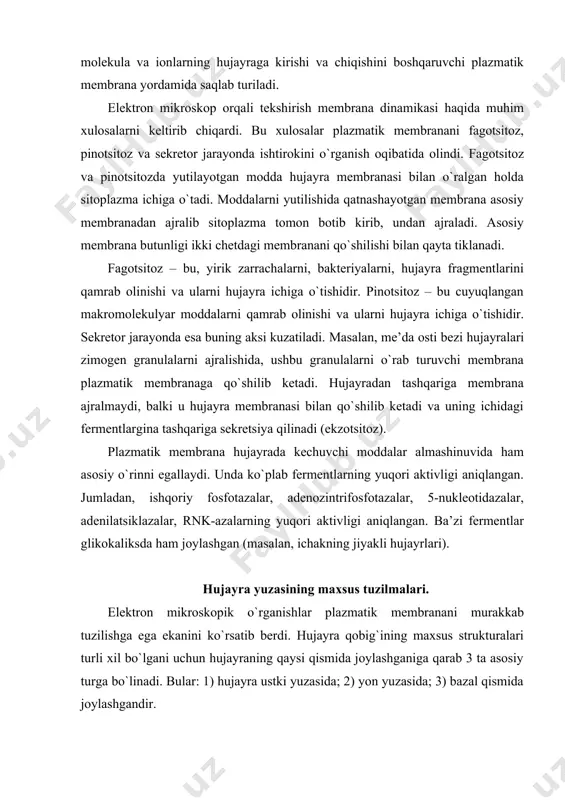 jayrani erkin yuzasining maxsus tuzilmalari. ko`pgina hujayralar erkin yuzasida – apikal plazmatik membrananing mayda o`simtalari bo`lgan mikrovorsinkalar ko`rinadi. ko`pincha mikrovorsinkalar betartib joylashadi. ingichka ichak hujayrasining apikal qismidagi mikrovorsinkalar tartibli joylashgan. kiprikchalar – uzunligi 5-10 mkm bo`lgan hujayra usiqlari bo`lib, aksonemasi 9 juft periferik va 1 juft markaziy mikronaychadan iborat. aksonema tarkibida atf-aza aktivligiga ega oqsil dinein mavjud. kiprikcha asosida yotuvchi bazal tanacha va kiprikchilar aksonemasi uzviy bog`liq bo`lib, ular bir-biriga davom etuvchi tuzilmani hosil qiladi. bazal tanacha ko`ndalang kesimi 9 ta tripletdan hosil bo`lgan halqadan iborat. bazal tanachaning har bir tripletidagi ichki ikki naycha distal qismiga tubulin oqsili kelib birikishi natijasida aksonemani o`sishi ta’minlanadi. bu ichki juft naychalar dubletlar deyiladi. qo`shni hujayralar yon yuzasidagi maxsus tuzilmalar har xil hujayralar yon qismlarida moddalarni diffuziya qilishga to`sqinlik beruvchi maxsus tuzilmalar joylashadi. ikki qo`shni hujayraning apikal yuzasidan boshlanib, yon yuzasiga davom etuvchi, biriktiruvchi kompleks hosil qiluvchi turli ixtisoslashgan hosilalar joylashgan. zich birikish. bevosita …
