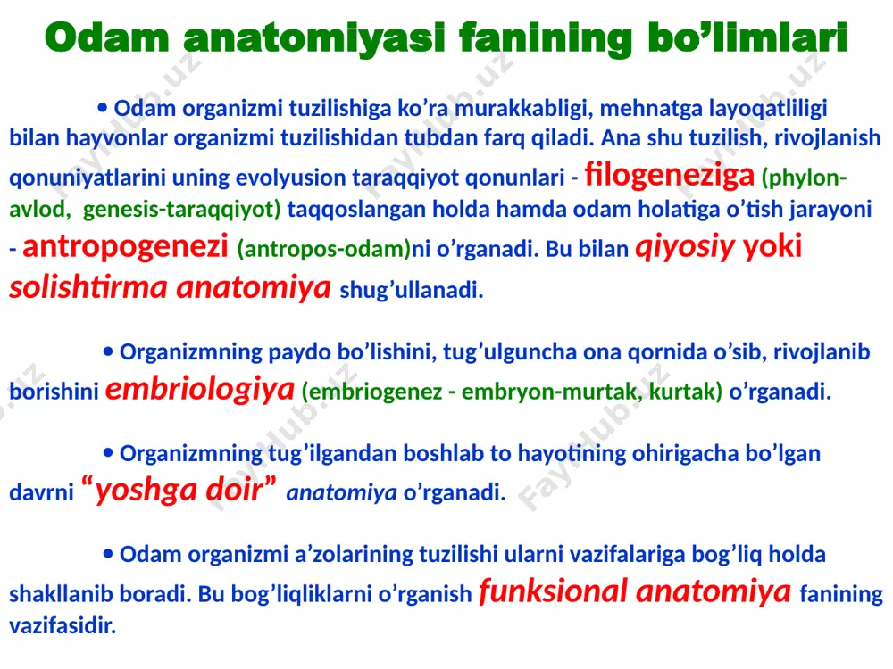 ligini isbotlagan. qon tomirlar yurakdan boshlanishini va “aorta” ni birinchi marta aniqlagan. anatomiya fanining qisqacha tarixi gerofil (taxminan eramizdan oldingi 300-yilda tug’ilgan) aleksandriya shahrida o’qigan va saroy tabibi bo’lib ishlagan. gerofil a’zolarning ichki tuzilishiga qiziqib ularni birinchi marta kesib o’rgangan (anatomiya-anatomeo, ya’ni “kesaman”, “yoraman”) so’zi ham ana shundan kelib chiqqan. olim ko’proq muskullarni, yurakni, qon tomirlar va periferik nerv sistemalarini o’rganib, birinchi bo’lib harakatchan va sezuvchan nervlarni aniqlagan. anatomiya fanining qisqacha tarixi jolinus hakim (klavdiy galen) 130-210 yy. anatomiya, fiziologiya, falsafa va biologiya fanlarini mukammal o’rgangan. olim aflotun va arastuning idealistik g’oyalarini quvvatlab, organizm o’z vazifalarini uch xil ruh orqali bajaradi: birinchisi - jigarda paydo bo’lib, venalar orqali, ikkinchisi - yurakda paydo bo’lib, arteriyalar vositasida organizmga tarqaladi, uchinchisi esa miyada paydo bo’lib, nervlar orqali organizmning barcha qismlarini idora qiladi, degan xulosaga kelgan. u suyaklar, muskular, bosh va orqa miya anatomiyasini o’rgangan. anatomiya fanining qisqacha tarixi abu ali ibn sino xorazm …