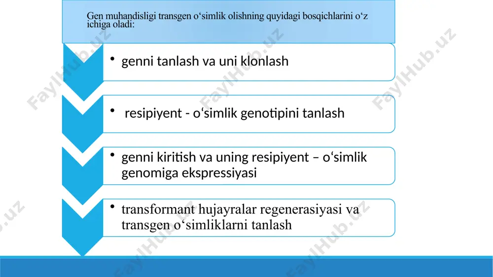 miqdorda bo'lsa ham agrobakteriya hujayralarida doimiy ekspressiya bo'lib turadi; 2. virb, virc, vird, vire, virf genlari t-dnk ni o‘simlikka bevosita ko'chirib o‘tkazilishini ta’minlaydigan oqsillami kodirlaydi va ular faqat promotorlari bevosita faollashganidan so‘ng ekspressiya bo‘ladi. olingan t-dnk ning bir zanjirli ipi u bilan bog‘lanadigan vire oqsili bilan himoyalanadi. t-dnk ning o‘ng chegarasi (overdrive deb nomlanuvchi qismi) atrofida joylashgan ma’lum ketma-ketlik bilan bog‘lanadi. virc oqsili bilan birga, vire va virf oqsillari t-dnk ning ko'chib o‘tishi va 0‘simlik hujayrasi yadrosiga integratsiyasini ta’minlaydi. 11 ta virb oqsili vird bilan maxsus ko'prik hosil qiladi, t-dnk agrobakteriyalardan o'simlik hujayrasiga u orqali o'tadi. t-dnk o'zining qo'sh zanjirli strukturasini tiklaydi va o'simlik genomiga joylashadi. shunday qilib, o'simlik hujayrasi transformatsiyasi amalga oshadi. hozirgi vaqtda t-dnk ning ko'chirib o'tkazilishida ishtirok etadigan barcha oqsillar va mexanizmlar oxirigacha to'liq o'rganilmagan. ti - plazmidalar asosida transformatsiya qilish uchun vektorlar. ti - plazmidaning nodir biologik xususiyatlari genlami ko'chirib o'tkazishdagi ideal tabiiy vektorga aylantiradi. ti …